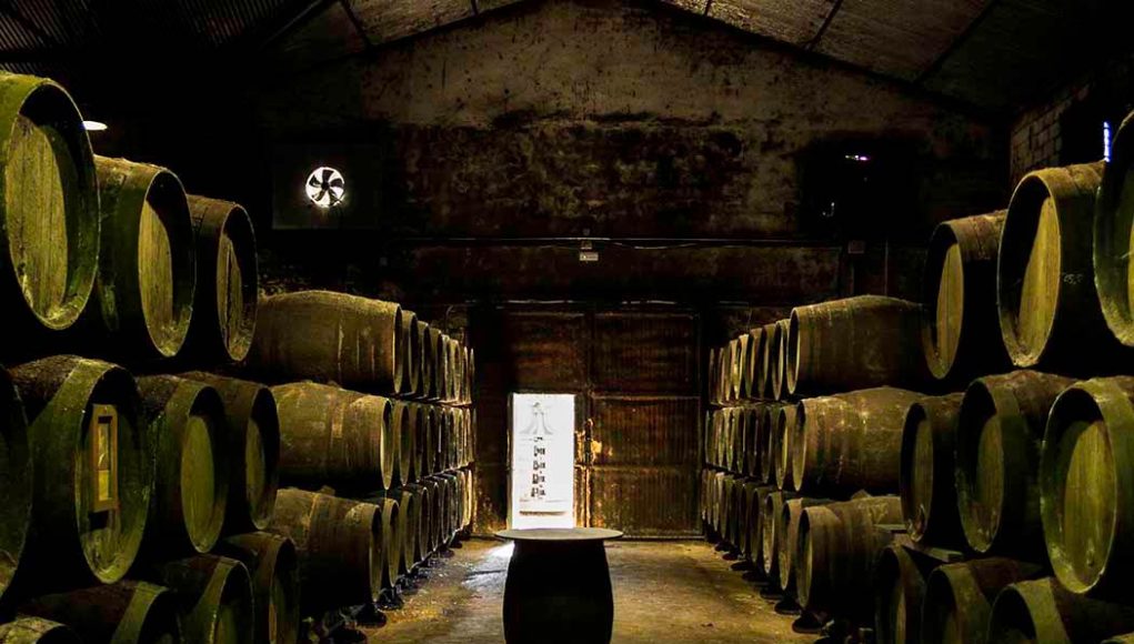 Bodegas Manuel Aragón