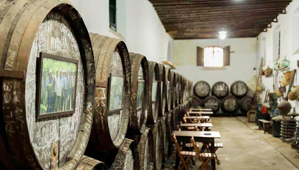 Bodegas Manuel Aragón