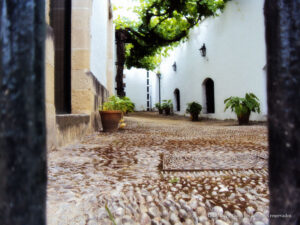 Bodegas González Byass