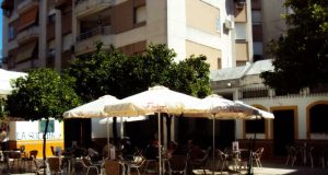 La Divina Solera… La Divina Solera…