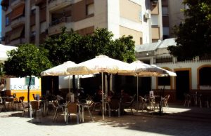 La Divina Solera… La Divina Solera…