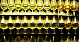 Y se vuelve a beber más vino en Jerez Y se vuelve a beber más vino en Jerez