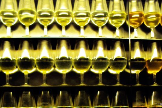 Y se vuelve a beber más vino en Jerez Y se vuelve a beber más vino en Jerez