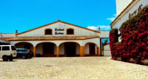 La Pandillita y los Vinos de Sánchez Romate