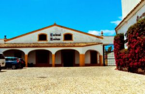 La Pandillita y los Vinos de Sánchez Romate