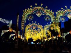 El Brandy de Jerez: Una percepción El Brandy de Jerez: Una percepción