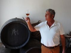 La Revolución Silenciosa de José Manuel Bustillo en Viña La Zarzuela José Manuel Bustillo