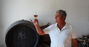 La Revolución Silenciosa de José Manuel Bustillo en Viña La Zarzuela José Manuel Bustillo