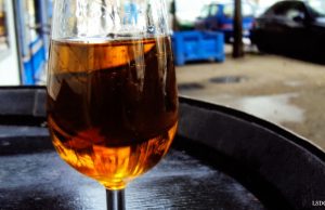 Un Buen día para disfrutar de un Oloroso Un Buen día para disfrutar de un Oloroso