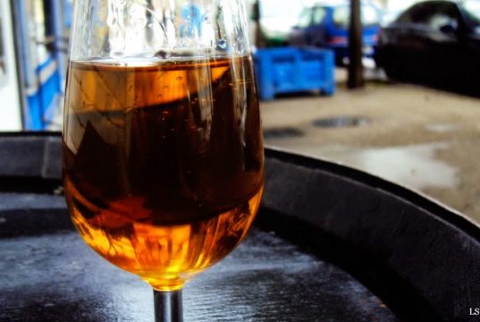 Un Buen día para disfrutar de un Oloroso Un Buen día para disfrutar de un Oloroso