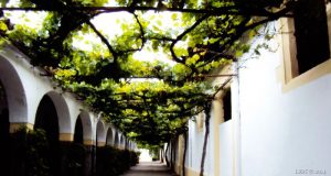 Buscando el Alma de Jerez. I parte Buscando el Alma de Jerez. I parte