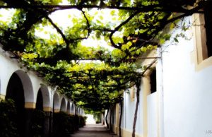 Buscando el Alma de Jerez. I parte Buscando el Alma de Jerez. I parte