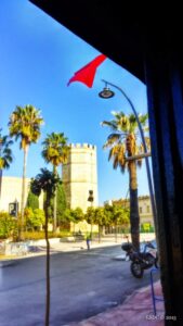 Un recorrido urbano del Mosto