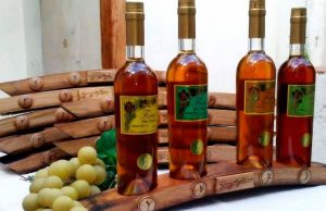 Reportaje Fotográfico del Artesano Manué de Mané Reportaje Fotográfico del Artesano Manué de Mané