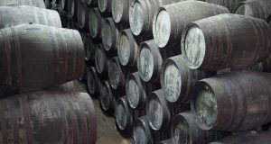 Movimiento de ideas frente al inmovilismo Movimiento de ideas frente al inmovilismo