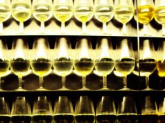 El Prestigio de los Grandes Jereces Catavinos de Jerez