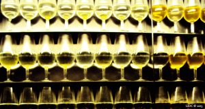 El Prestigio de los Grandes Jereces Catavinos de Jerez