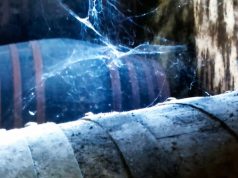 Noé, el Mejor Pedro Ximénez Muy Viejo V.O.R.S de España Noé