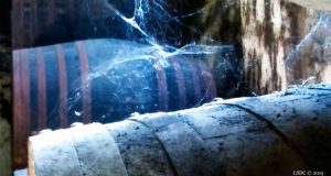 Noé, el Mejor Pedro Ximénez Muy Viejo V.O.R.S de España Noé