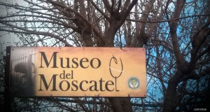 Caminando Por Chipiona, Don Moscatel Caminando Por Chipiona, Don Moscatel