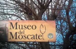 Caminando Por Chipiona, Don Moscatel Caminando Por Chipiona, Don Moscatel