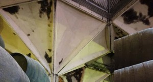 Williams & Humbert lanza Canasta 20 Williams Lanza Canasta 20 años