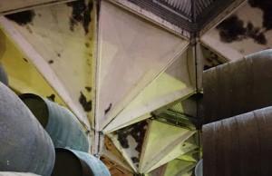 Williams & Humbert lanza Canasta 20 Williams Lanza Canasta 20 años