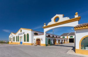 Los vinos de Covijerez obtienen diez medallas en la XXII Edición de los Premios Mezquita Los vinos de Covijerez obtienen diez medallas en la XXII Edición de los Premios Mezquita