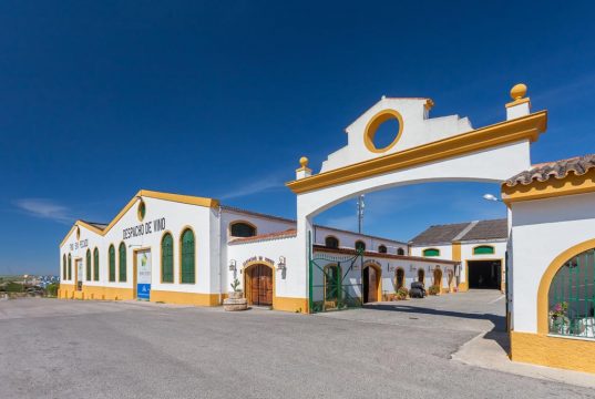 Los vinos de Covijerez obtienen diez medallas en la XXII Edición de los Premios Mezquita Los vinos de Covijerez obtienen diez medallas en la XXII Edición de los Premios Mezquita