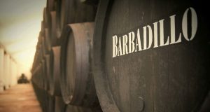 El éxito del Marco de Jerez: innovación en el marketing y la enología Bodegas Barbadillo