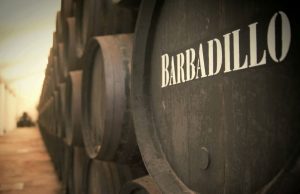 El éxito del Marco de Jerez: innovación en el marketing y la enología Bodegas Barbadillo