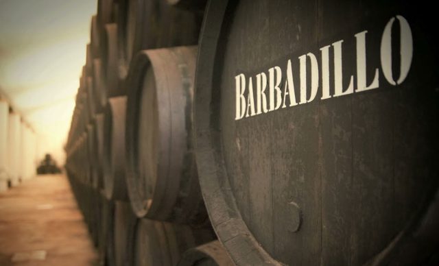 Bodegas Barbadillo