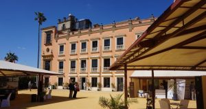 Un Vinoble Más Pequeño Un Vinoble Más Pequeño