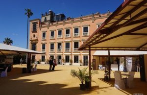 Un Vinoble Más Pequeño Un Vinoble Más Pequeño