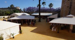 Gran Cata Final Para Un Vinoble Renco