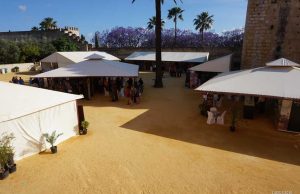 Gran Cata Final Para Un Vinoble Renco