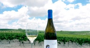 Lanzamiento Ojo de Gallo añada 2016 José Estévez presenta Ojo de Gallo, un vino blanco 100% palomino procedente del Pago de Macharnudo