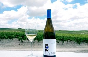 Lanzamiento Ojo de Gallo añada 2016 José Estévez presenta Ojo de Gallo, un vino blanco 100% palomino procedente del Pago de Macharnudo