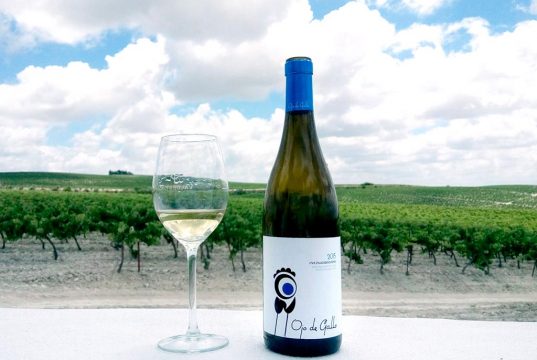 Lanzamiento Ojo de Gallo añada 2016 José Estévez presenta Ojo de Gallo, un vino blanco 100% palomino procedente del Pago de Macharnudo
