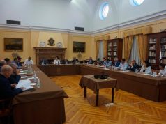 Beltrán Domecq, reelegido presidente del Consejo Regulador de Jerez Beltrán Domecq, reelegido presidente del Consejo Regulador de Jerez