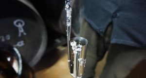 ‘Ser o no Ser’ en Sanlúcar El árbol de la vida