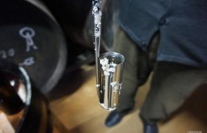 ‘Ser o no Ser’ en Sanlúcar El árbol de la vida