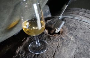 El árbol de la vida; de la crianza biológica El árbol de la vida