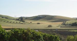 Convocatoria este Miércoles del GDR en el Consejo Regulador Convocatoria este Miércoles del GDR en el Consejo Regulador