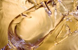 La Manzanilla y el Rebujito en la Feria Manzanilla de Sanlucar