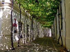 González Byass y Grupo Emperador cierran el acuerdo de adquisición de la marca Domecq y el negocio en méxico de Pernod Ricard González Byass