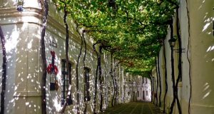 González Byass y Grupo Emperador cierran el acuerdo de adquisición de la marca Domecq y el negocio en méxico de Pernod Ricard González Byass