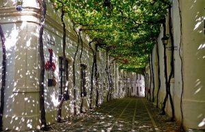 González Byass y Grupo Emperador cierran el acuerdo de adquisición de la marca Domecq y el negocio en méxico de Pernod Ricard González Byass