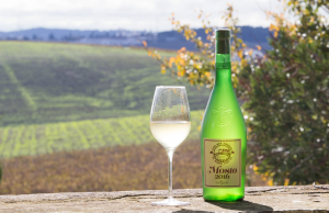 Bandera Roja en González Byass Bandera Roja en González Byass