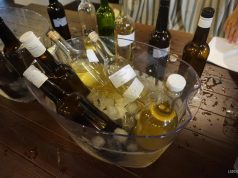 Fallo del III Concurso de Mostos del Marco de Jerez III Concurso del Mosto